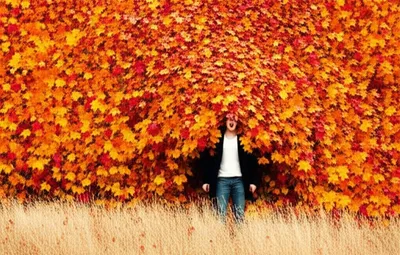 Illustration befalling - Image 1