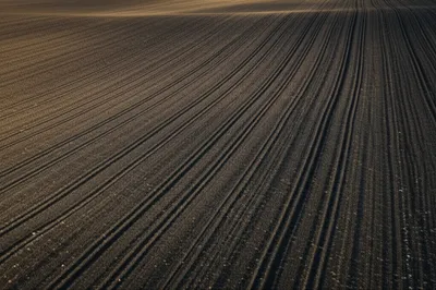 Illustration stitching - Image 1