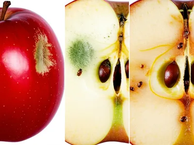 Illustration decomposing