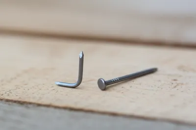 Illustration sprig - Image 1