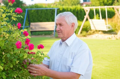 Illustration widower - Image 1