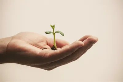 Illustration excipient - Image 1