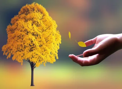 Illustration leaves - Image 1