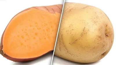 Illustration yams - Image 1