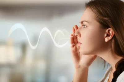 Illustration y - Image 1