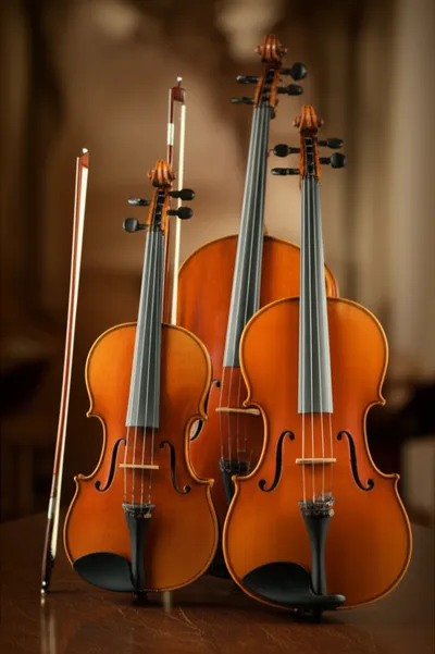 Illustration violins - Image 2