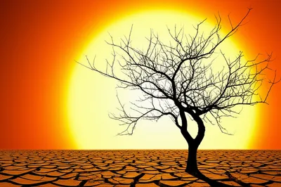 Illustration bitch - Image 1