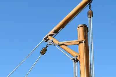 Illustration throats - Image 1