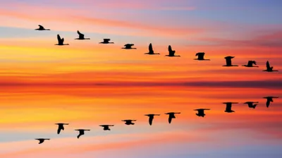 Illustration sync - Image 1