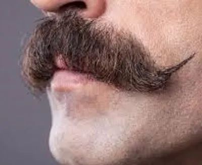 Illustration mustache - Image 2