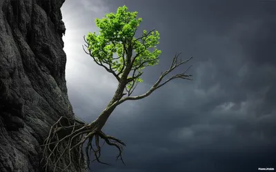 Illustration endured - Image 1