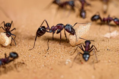 Illustration worker - Image 1