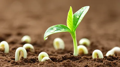 Illustration soonest - Image 1