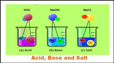 Illustration salt - Image 2
