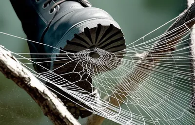 Illustration intruding - Image 1