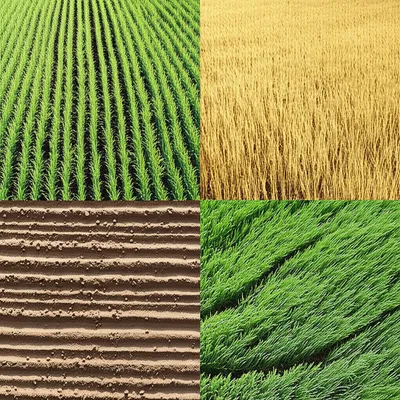 Illustration rotate - Image 1