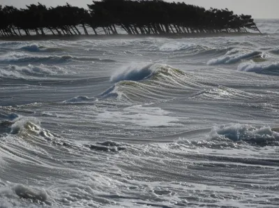 Illustration chopping - Image 1