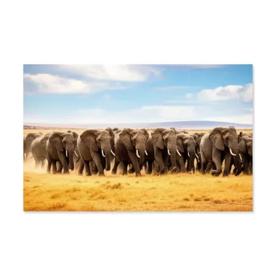 Illustration parade - Image 1