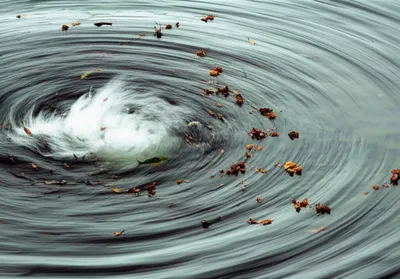 Illustration eddies - Image 1