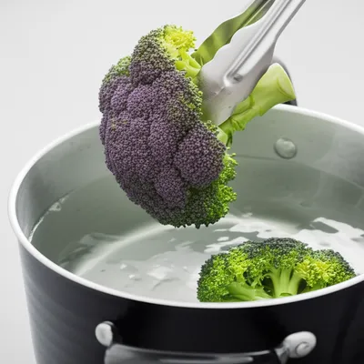 Illustration blanching - Image 1