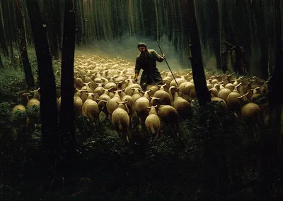 Illustration lodged - Image 1