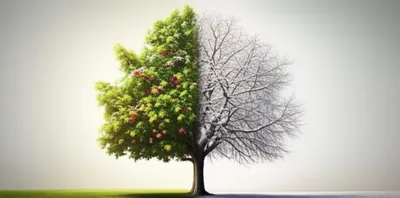 Illustration twain - Image 1