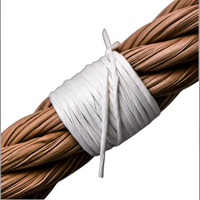 Illustration whips - Image 1