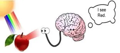 Illustration perception - Image 2