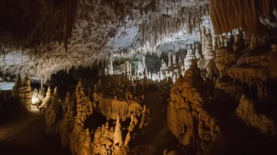 Illustration room - Image 1