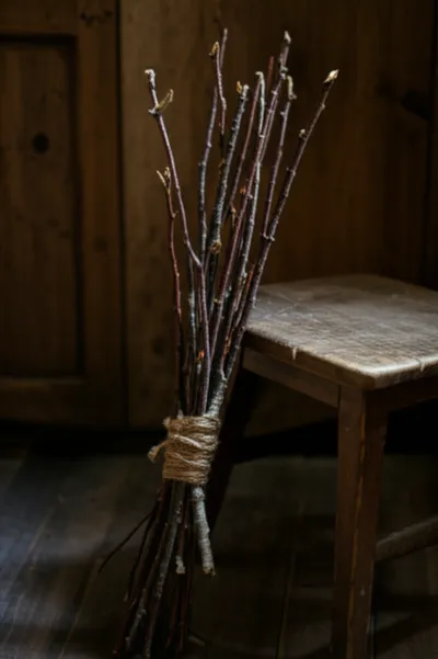 Illustration rods - Image 1