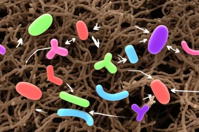 Illustration nitrifying - Image 1