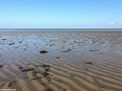 Illustration out - Image 1