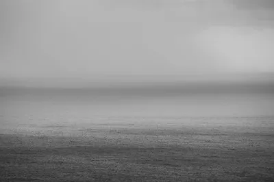 Illustration winds - Image 2