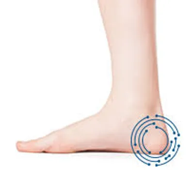 Illustration heel - Image 3