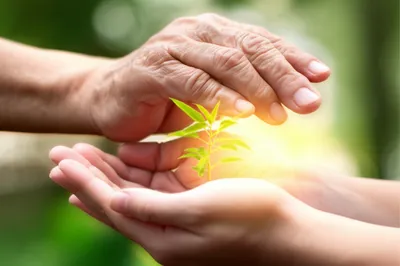 Illustration bequeath - Image 1