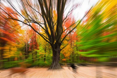 Illustration conserve - Image 1