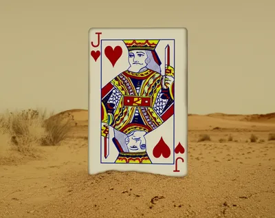 Illustration jackals - Image 1