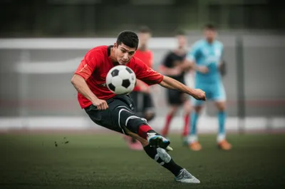 Illustration footed - Image 1