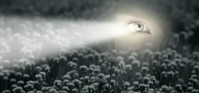 Illustration meanings - Image 1