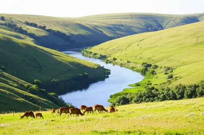 Illustration preserve - Image 1