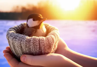 Illustration warmest - Image 2