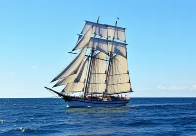 Illustration run - Image 1