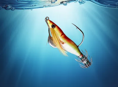 Illustration squids - Image 1