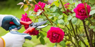 Illustration bated - Image 1