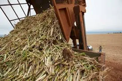 Illustration trash - Image 4