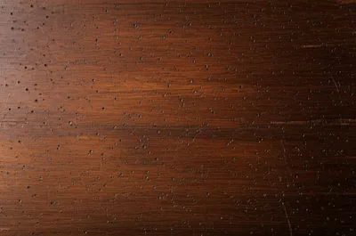 Illustration riddled - Image 1