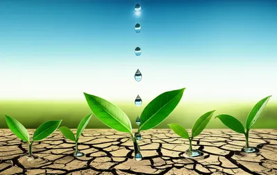 Illustration refresh - Image 1