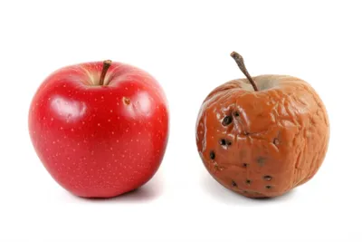 Illustration worse - Image 1