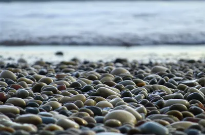 Illustration shingle - Image 1