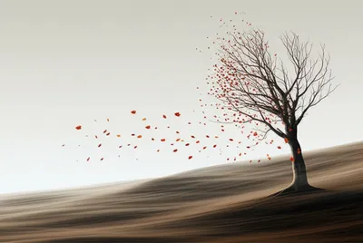 Illustration dispatches - Image 1